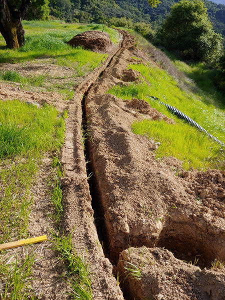 Setting up a backyard Fruit Tree Irrigation System