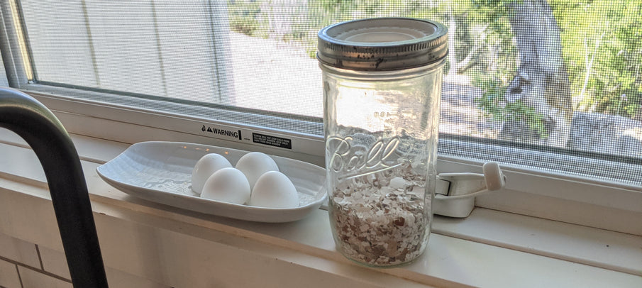 Throwing Out Your Eggshells? Not So Fast: Preventing Blossom-End Rot On Tomatoes And Peppers